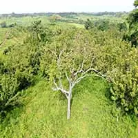 DJI_0773-copy-1-scaled-1.jpg